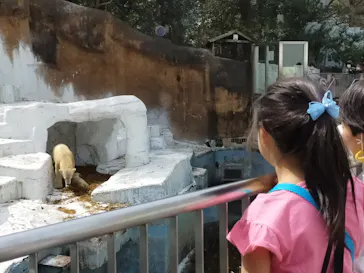 天王寺動物園に投稿された画像（2021/3/30）