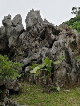 アスムイハイクスに投稿された画像（2021/3/30）