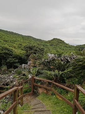 アスムイハイクスに投稿された画像（2021/3/30）