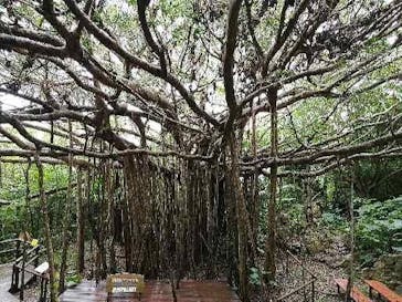 アスムイハイクスに投稿された画像（2021/3/30）