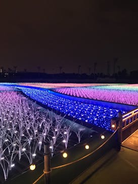 東京メガイルミに投稿された画像（2021/3/30）