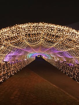 東京メガイルミに投稿された画像（2021/3/30）