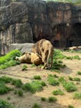 天王寺動物園に投稿された画像（2021/3/31）
