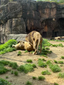 天王寺動物園に投稿された画像（2021/3/30）