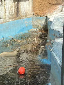 天王寺動物園に投稿された画像（2021/3/31）