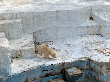 天王寺動物園に投稿された画像（2021/3/31）