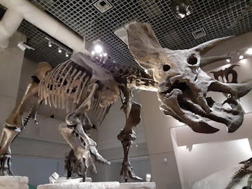 国立科学博物館に投稿された画像（2021/3/31）