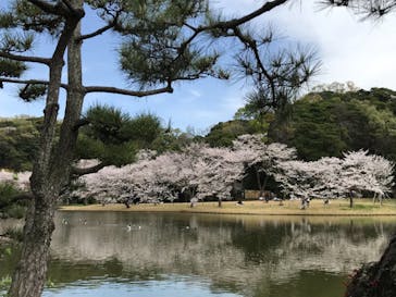 三溪園に投稿された画像（2021/3/31）