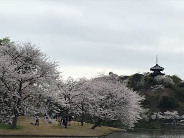 三溪園に投稿された画像（2021/3/31）