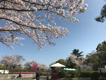 天王寺動物園に投稿された画像（2021/3/31）