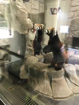 天王寺動物園に投稿された画像（2021/3/31）