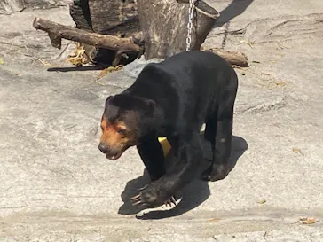 天王寺動物園に投稿された画像（2021/3/31）