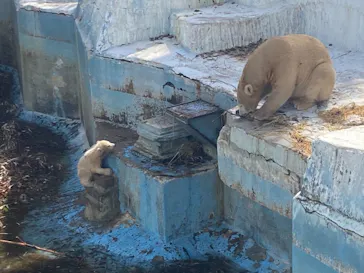 天王寺動物園に投稿された画像（2021/3/31）