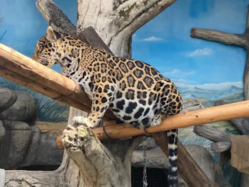 天王寺動物園に投稿された画像（2021/3/31）