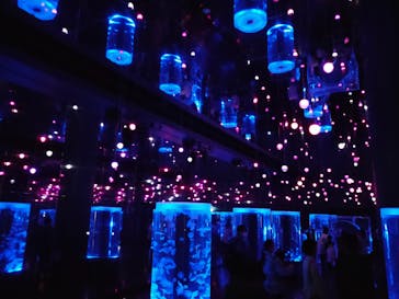 マクセル アクアパーク品川に投稿された画像（2021/3/31）