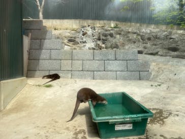 しろとり動物園に投稿された画像（2021/3/31）