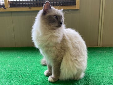 しろとり動物園に投稿された画像（2021/3/31）