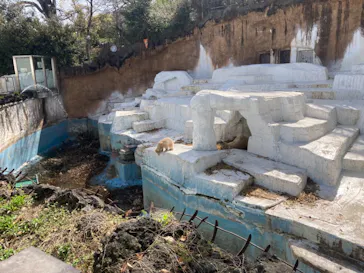 天王寺動物園に投稿された画像（2021/3/31）