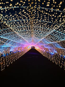 東京メガイルミに投稿された画像（2021/3/31）