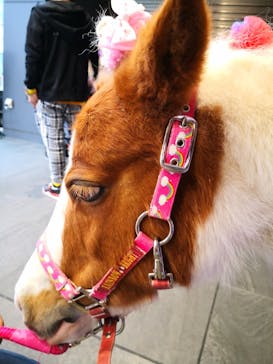 東京メガイルミに投稿された画像（2021/3/31）