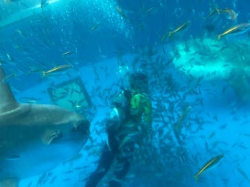 横浜・八景島シーパラダイスに投稿された画像（2021/3/31）