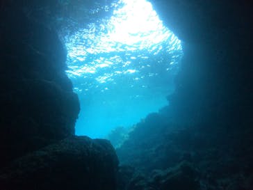 青の洞窟専門店　沖縄ダイビングショップ和に投稿された画像（2021/3/31）