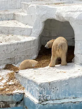 天王寺動物園に投稿された画像（2021/3/31）