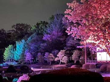 二条城×ネイキッド 二条城夏まつり2021に投稿された画像（2021/3/31）