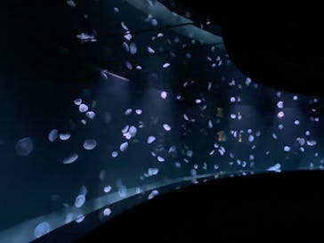 サンシャイン水族館に投稿された画像（2021/3/31）