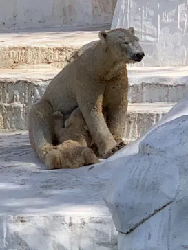 天王寺動物園に投稿された画像（2021/3/31）