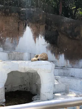天王寺動物園に投稿された画像（2021/3/31）