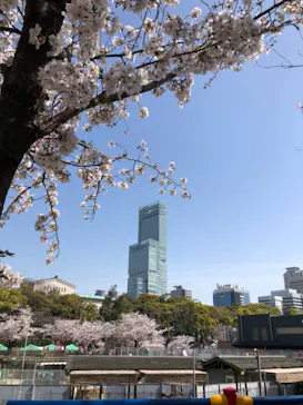 天王寺動物園に投稿された画像（2021/3/31）