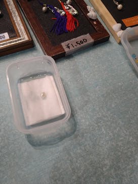 しながわ水族館に投稿された画像（2021/3/31）