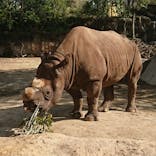 天王寺動物園に投稿された画像（2021/3/31）