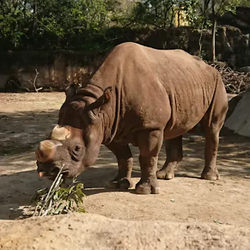 天王寺動物園に投稿された画像（2021/3/31）