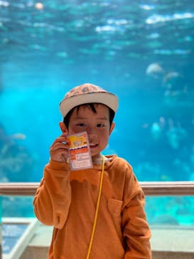 株式会社Gに投稿された画像（2021/3/31）