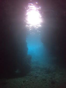 DIVING-SHOP SUNSに投稿された画像（2021/3/31）