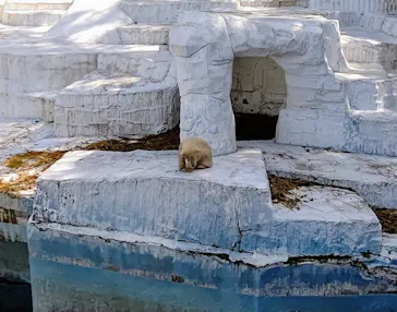 天王寺動物園に投稿された画像（2021/3/31）