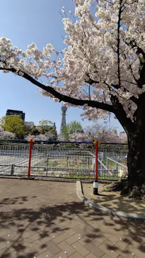 天王寺動物園に投稿された画像（2021/3/31）