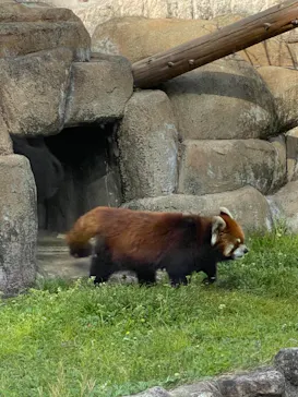 天王寺動物園に投稿された画像（2021/3/31）