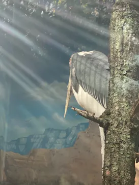 天王寺動物園に投稿された画像（2021/3/31）