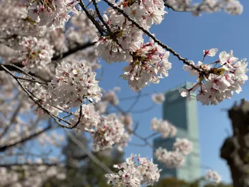天王寺動物園に投稿された画像（2021/3/31）