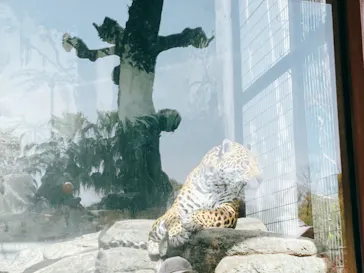 天王寺動物園に投稿された画像（2021/3/31）