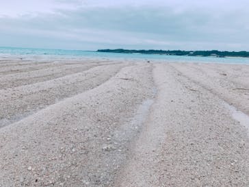 ヨロン島シーマンズクラブに投稿された画像（2021/3/31）