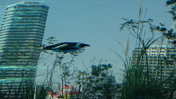 サンシャイン水族館に投稿された画像（2021/3/31）