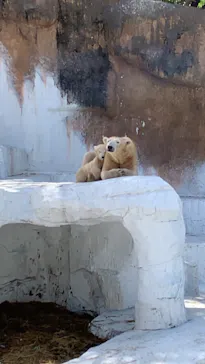 天王寺動物園に投稿された画像（2021/3/31）