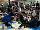 サンシャイン水族館に投稿された画像（2021/3/31）