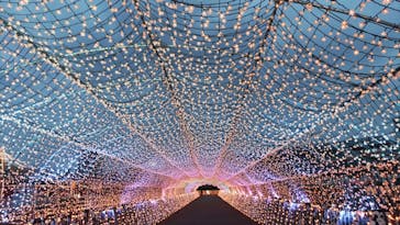 東京メガイルミに投稿された画像（2021/3/31）