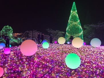 よみうりランド 遊園地に投稿された画像（2021/3/31）