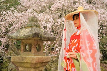 平安衣裳・着物よそおい体験所　みやじま紅葉の賀に投稿された画像（2021/3/31）